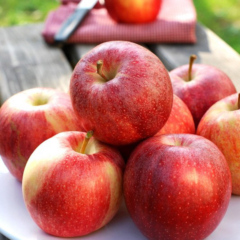 美伦鲜品·进口加力果约1kg